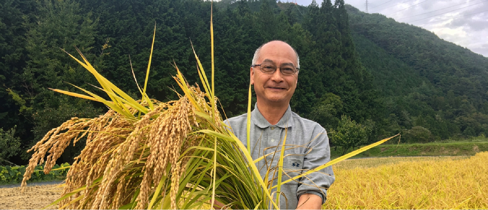日本一おいしいお米 龍の瞳